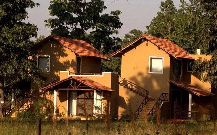 Deep Jungle Polo Cottage, Hyderabad 1